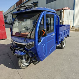 电动三轮车;其他电动车;三轮车
