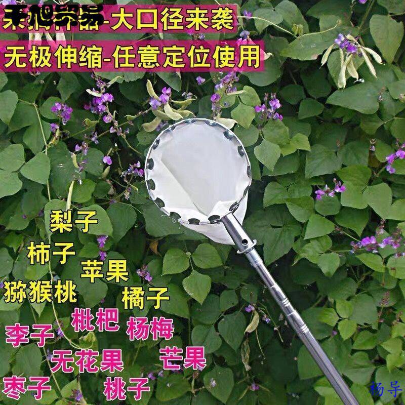 高空果摘器多功能水果采果摘果器枇杷采摘芒果钩子杨梅郊游核桃