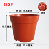 Mesh seedling pot red 180#[400