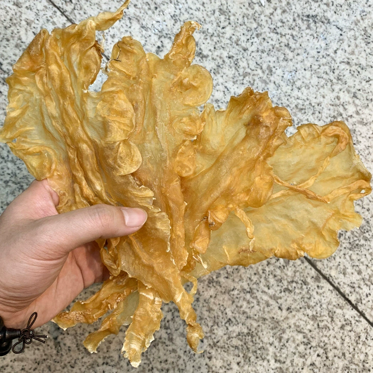 Южная дорожная морской огурец птичий гнездо, морепродукты питающий сухой груз цветочный клей оптовый глубоководная треска клей