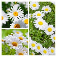 �׾��շN��С�r��С�׾յ��S���r�պ���ɏ����ܰ���ܷN�ѱ���Ʒ�N