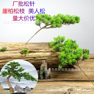 ���������֦�~������ӭ���ɘ��~�°��ɾGֲ������ʽ���^�쾰���