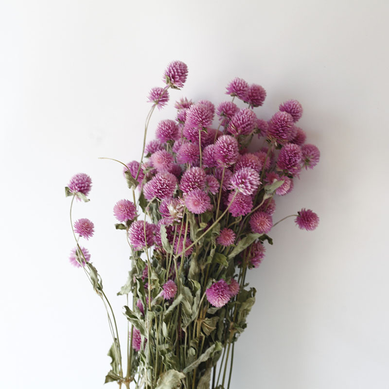 Flor seca Flor eterna Gypsophila Bola de oro No me olvides Flor seca Rosa hoja de eucalipto Pine Fruit Lover Grass al por mayor