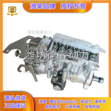 潍柴道依茨226B 柴油发动机燃油泵原厂正品13067688机械喷油泵