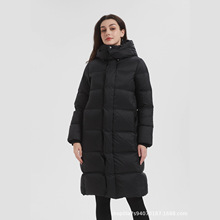 2025LqŮ^ϥBñӺ90qůqwD