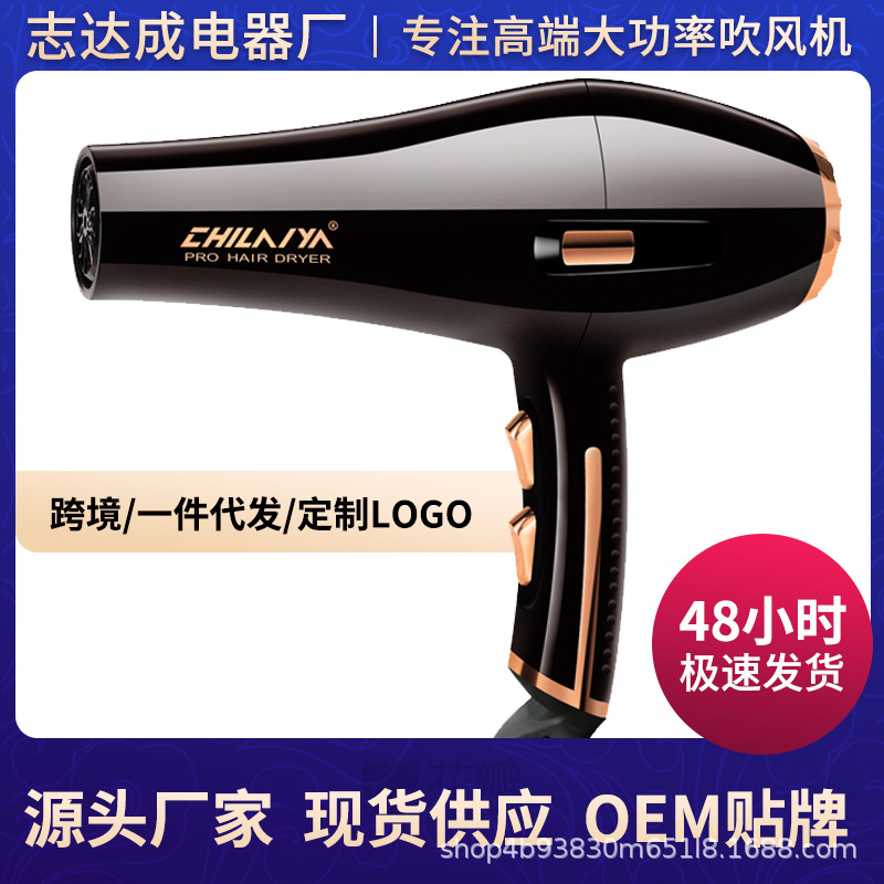 Hair Dryer Household High-Power Hair Salon Special Barber Shop Negative Ion Hair Care Quick-Drying Hair Dryer Cross-Border High-Power