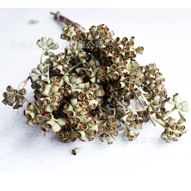 Flor seca Flor eterna Gypsophila Bola de oro No me olvides Flor seca Rosa hoja de eucalipto Pine Fruit Lover Grass al por mayor