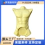 高回弹定制人体pu展示架