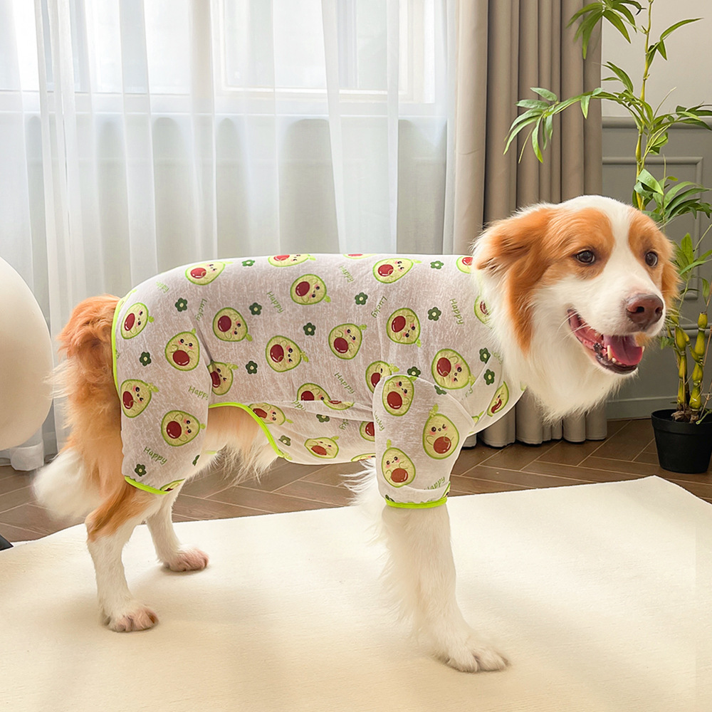Nuevas mascotas primavera y verano ropa de gato perro ropa de cuatro patas gato pantalones de cuatro patas al por mayor productos para el hogar transpirables