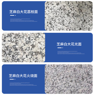 ftʯ��·��ʯ֥����S�Pʯ��������Ȼ������֦�����ʯͥԺ�V��