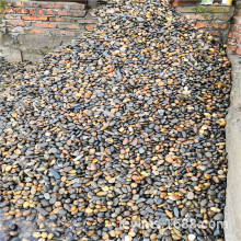 ƷƏSҹVϪZʯV ݿhZʯV ꑴZʯV