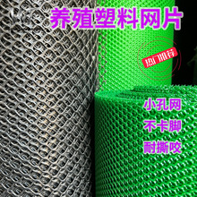耐腐蚀加厚塑料网鸡鸭鹅养殖漏粪网家养宠物笼子塑料围栏塑料网