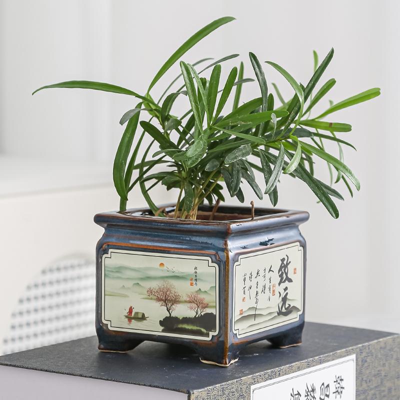 小叶簕竹金枝玉叶蟹爪兰好看的陶瓷花盆轻奢感用禅意风