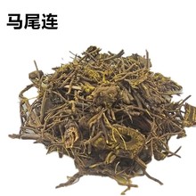 ș RβB Rβɏ1ǧ RβS Sɏ ɲ zSB