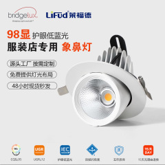 象鼻型LED埋め込み式スポットライト、高演色性、超高輝度、衣料品店向けCOB天井照明、角度調整可能、防眩筒型ライト