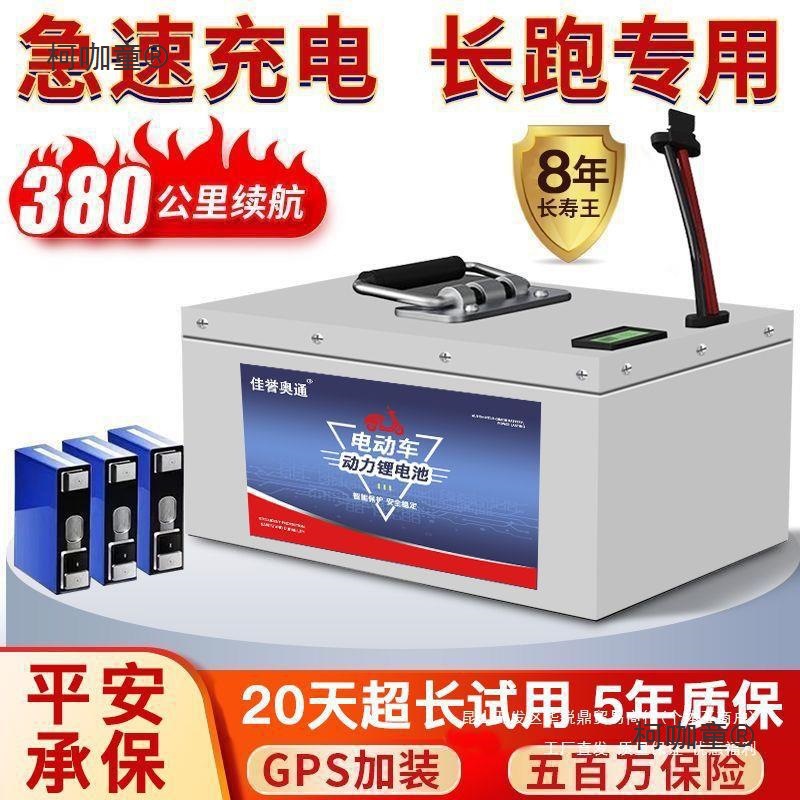 电动车锂电池48V60V72V三元铁锂等电芯两轮三轮大容量电源L麦太保