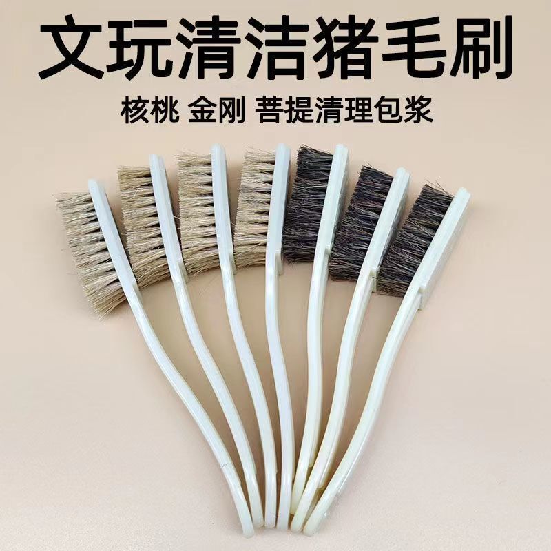 Brush for Handling and Maintaining 6-Row Pig Hair Walnut Brush for Rudraksha and Olive Walnut