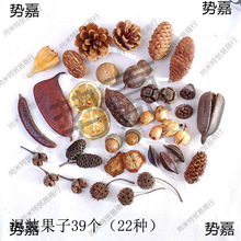 ɻɹMb׃@DIYֹϰɹɻ[յ