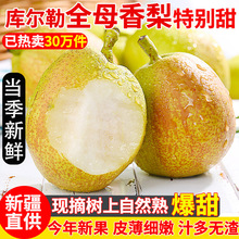 �����½��젖��ȫĸ�殔���Fժ���rˮ���ЋD����С��������10��