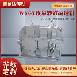 可定各种规格WXGT系列皮革传鼓专用减速箱卧式硬齿面斜齿轮减速机