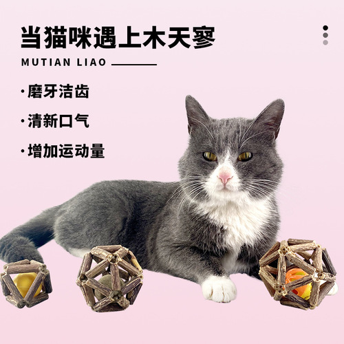 Mutian Polygonum Exquisite Bat Cat Teething Stick Natural Cat Snacks Bell Ball Self-Happiness Toy Cat Supplies Manufacturer