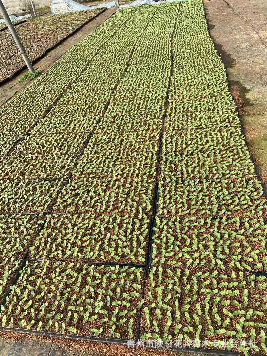 1c5ab2e5f27f4fde41ac34bed3dde9