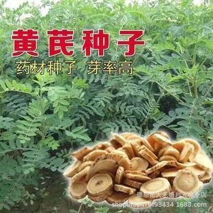 �S�ηN�� �����²� �S�ξd�S�����S�ηN�� �ļ����N