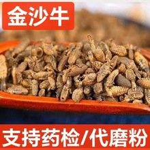 ��ș�� ��ɳţ ��ɰţ Λ�X�x ρ�{ �Ƀ��o�s�| ֧��ș�z ��ĥ��