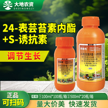 ����������ɫ 24��̦ܿ������S�տ���ˮ��ϸ������ֲ���������ڼ�