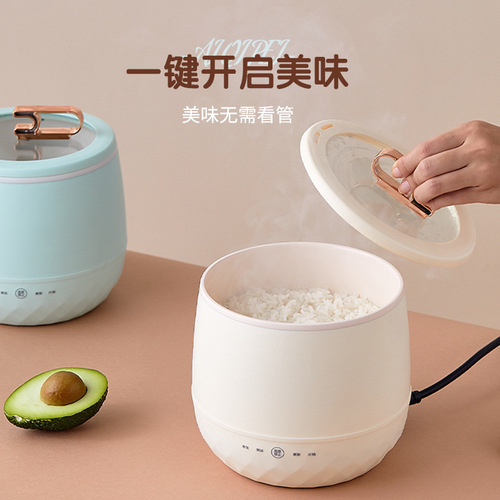 Electric rice cooker for 2 people, small mini multi-functional household smart rice cooker, electric cooking pot, soup and porridge, student dormitory electric cooker