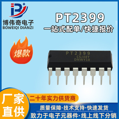 brand new PT2399 In line DIP16 Power amplifier IC Electronic components Chip list 2399 Full range