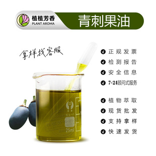 ��̹��� �䉺ե���ľ�� prinsepia utilis oil��̹����A�����l