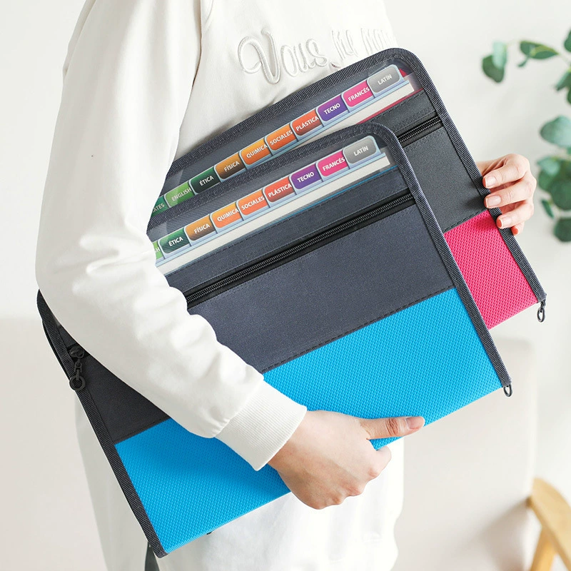 Organ, folder with zipper, universal bag for documents, handheld storage system, 13 floors