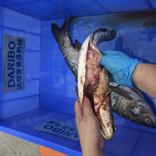 WȫԄӶ๦ܚ~C P_ȥ[~C ЈƘʳÚ~C