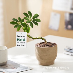 �˷���ؔ���_ľ�������~ɏ�Gֲ�҃�����ֲ��С�辰�ļ����໨