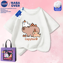 NASA������Ƥ������ͨQ��ӡ��T�����д�ͯ�ɰ�����С������װ