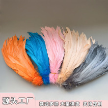 现货25-30cm褪染彩色公鸡尾羽毛DIY手工演出舞蹈装饰工艺品服饰