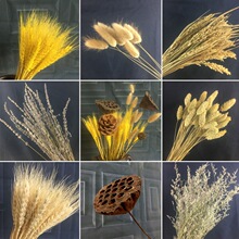 麦穗干花真花束开业大麦田园装饰摆件满天星稻穗拍摄道具礼品