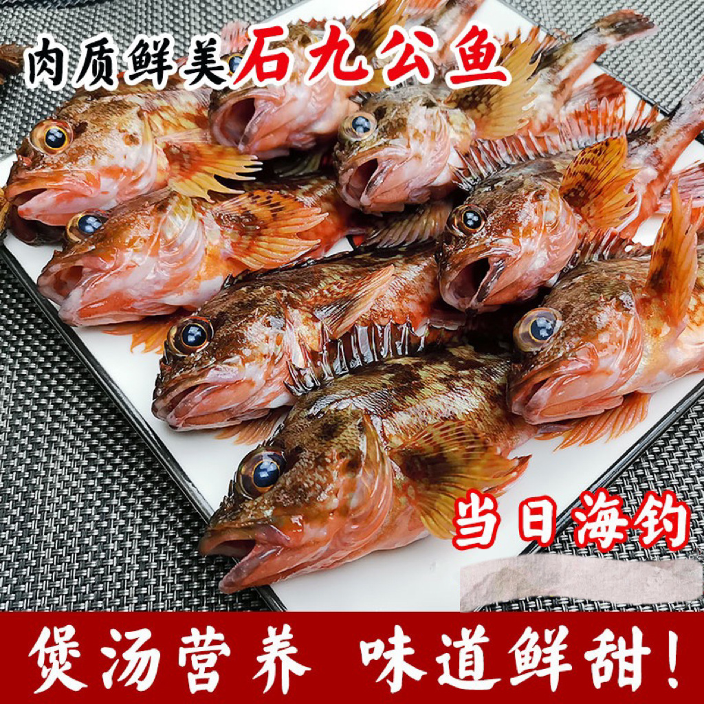 石安鱼 石九公鱼石翁鱼250g/盒东山岛【爱心鱼满舱一件代发直播】