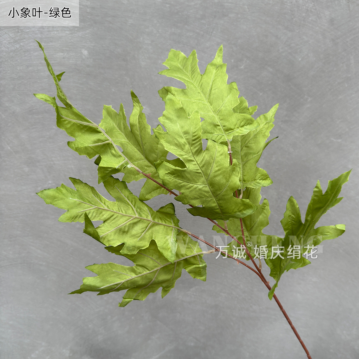 Baby elephant leaf green