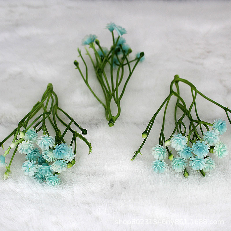 얕은 호수 블루