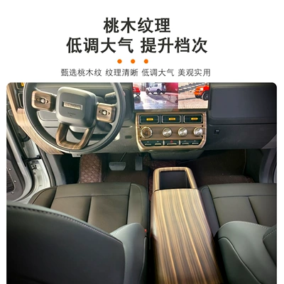 Rear Anti-Kick Protection Panel Frame: Light frame
