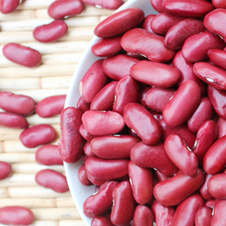 红芸豆50斤装 特产大红豆红腰豆红芸豆红豆新货芸豆煲粥五谷杂粮