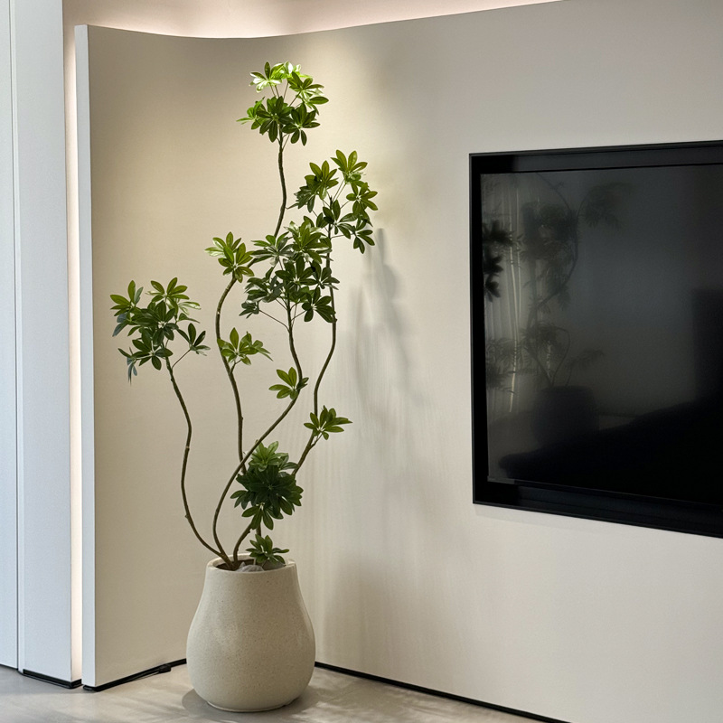 鸭脚木绿植轻奢室内客厅仿生大型盆栽落地假植物