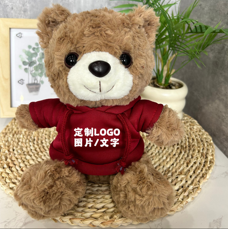 公仔小熊换衣服T恤校服毛衣娃娃毛绒玩具玩偶来图来样印制logo|undefined