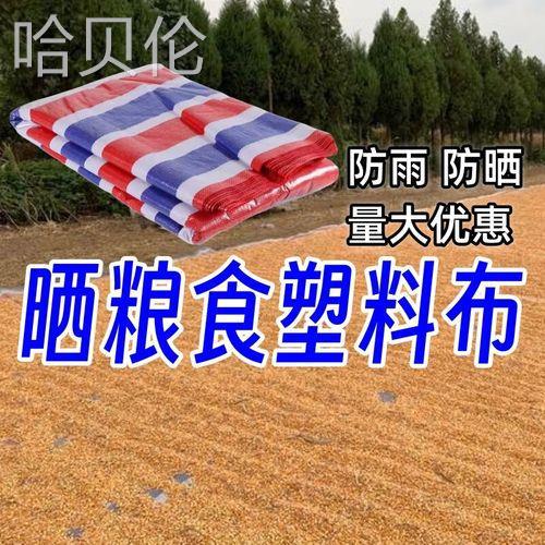 五彩的塑料篷布条纹粮食晒地上挡铺稻谷苞米垫子玉米防雨囤屯盖水