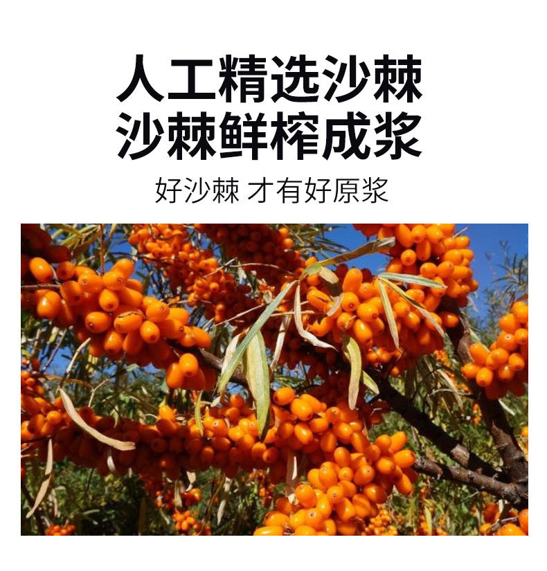 Sea Buckthorn Juice Puree 300ml Portable Spout Pouch Inner Mongolia Sourced in use