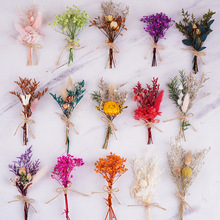 ���㻨����Ȼ�ɻ��bYƷ��ϲ�ǰ��ֶY���С��������Y�ػ�