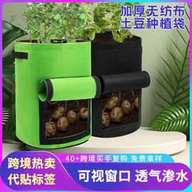 毛毡土豆种植袋西红柿蔬菜植物袋美植袋亚马逊无纺布马铃薯种植盆