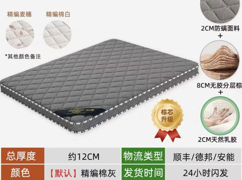 天然椰棕床垫硬垫子家用卧室儿童榻榻米折叠软垫席梦思出租房专用|undefined
